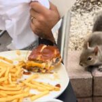 Hungry Florida Squirrel