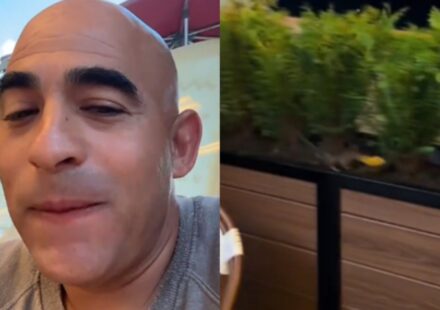 Rat spotted on outdoor patio table at Mississippi restaurant in viral TikTok video
