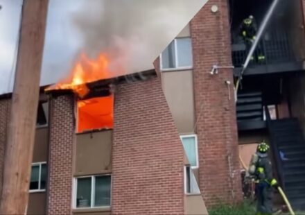 Georgia Firefighters