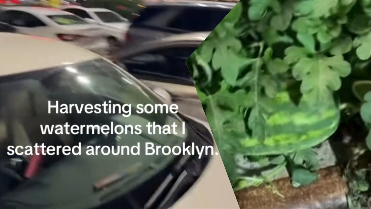 New York Micro Garden