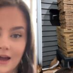 Massachusetts woman's mystery DoorDash delivery for Barry K.